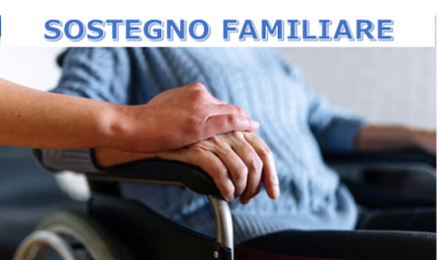 IL SOSTEGNO FAMILIARE PER LA DISABILITA’ GRAVISSIMA RIMANE A 700 EURO P...